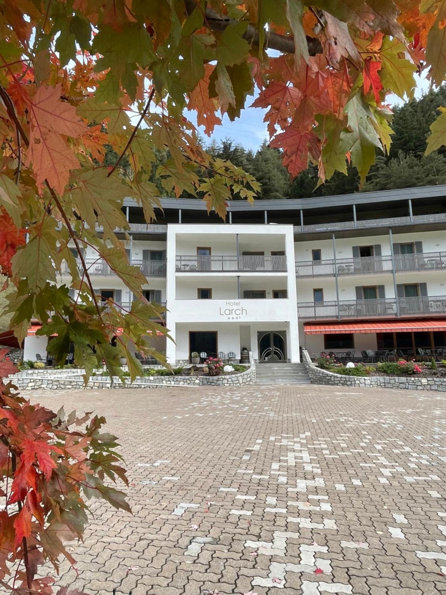 Hotel Larch Campo di Trens Exterior foto